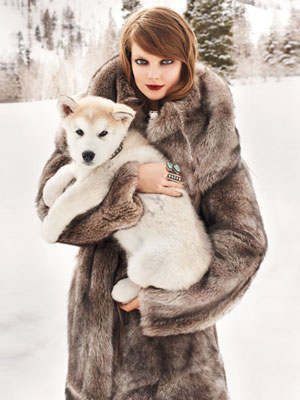 New Trend for Winter from Bold Coats - Coats