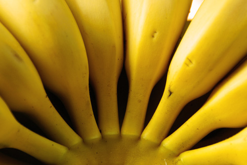 7 Best Home-Made Hair Masks … - Masks - Hair