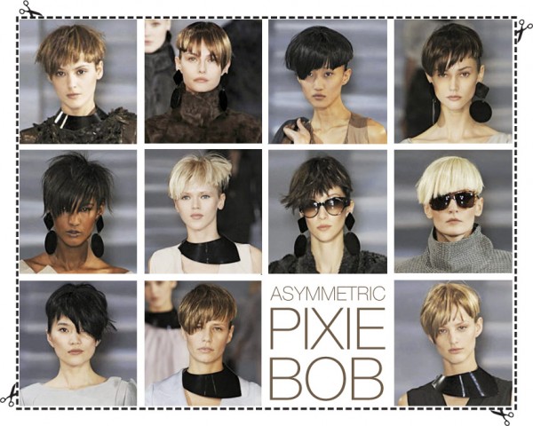 Hair Report : The Asymmetric Pixie-Bob - Hair