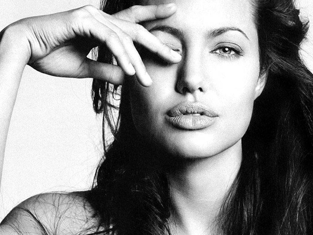 Angelina Jolie is the new face of Louis Vuitton - Louis Vuitton - Angelina Jolie - Fashion
