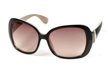 Brown Plait Arm Sunglasses - Wallis - Sunglasses - Accessory