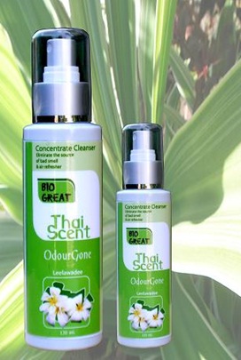 Bio Great ผลิตภัณฑ์บำรุงผิวเป็นมิตรกับคุณและสิ่งแวดล้อม - สปา - ความงาม - Bio Great - ธรรมชาติ