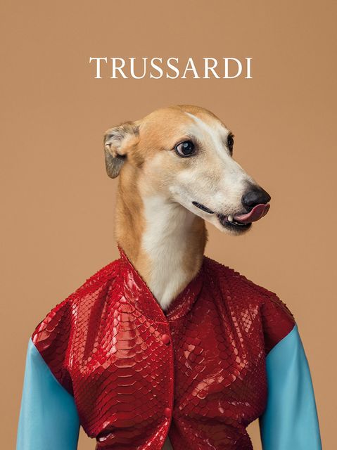แบรนด์ Trussardi Spring/Summer 2014 ใช้น้องหมาเป็นแบบ - เทรนด์ใหม่ - แฟชั่น - แฟชั่นคุณผู้หญิง - อินเทรนด์ - Accessories - แฟชั่นเสื้อผ้า - เทรนด์แฟชั่น - เทรนด์ - คอลเลคชั่น - สไตล์การแต่งตัว - แฟชั่นนิสต้า - ผู้หญิง - แคมเปญ - คอลเลคชั่น - Trussardi - เสื้อผ้า - แจ็คเกต - ชุดเดรส