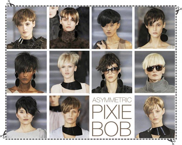 Hair Report : The Asymmetric Pixie-Bob