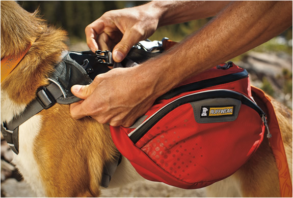 อุปกรณ์สัตว์เลี้ยงสุดโปรด กับ กระเป๋าผจญภัยสำหรับน้องหมาที่รัก - แฟชั่นสัตว์เลี้ยง - กระเป๋าสำหรับสุนัข - กระเป๋่าผจญภัย - กระเป๋าน้องหมา