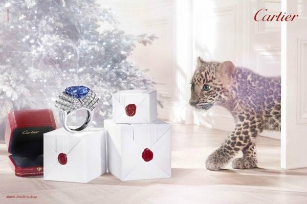Câu chuyện cổ tích mùa Đông thú vị từ quảng cáo Cartier Giáng Sinh 2013 [PHOTOS] - Cartier - Phụ kiện - Bộ sưu tập - Đồng hồ - Trang sức