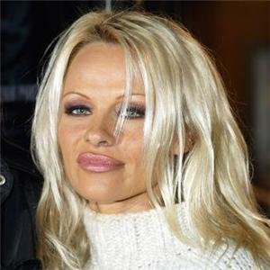 Pamela Anderson 'to design lingerie range'