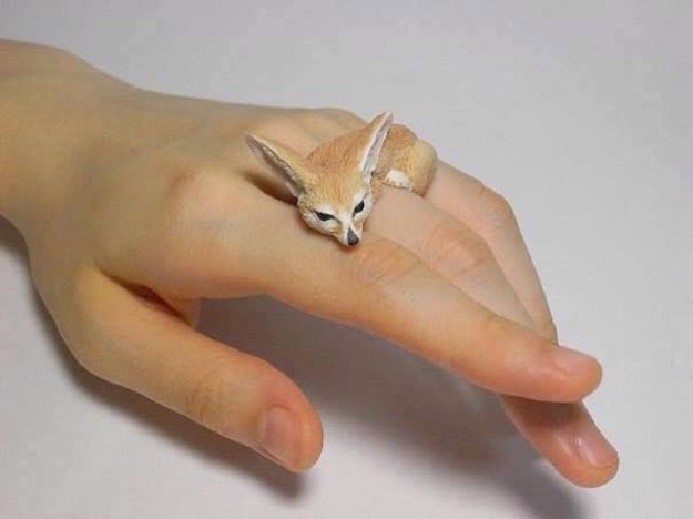 น่ารักสุดมาก กับแฟชั่น " Animal Hug Ring " เหมือนมีสัตว์กอดนิ้ว ไม่ยอมปล่อย - แหวนแปลก - แหวน - แหวนรูปสัตว์ - เทรนด์ใหม่ - นิยมในญี่ปุ่น - ไม่ควรพลาด - แฟชั่นผู้หญิง - แฟชั่นผู้ชาย - อินเทรนด์ - แฟชั่น - Accessories