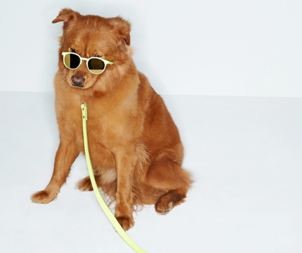 Shopbop chọn các người mẫu 'cún' chụp ảnh quảng cáo phụ kiện thời trang - Shopbop - Bộ sưu tập - Phụ kiện - Thư viện ảnh - Tin Thời Trang