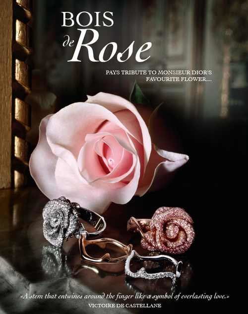 Dior Bois de Rose