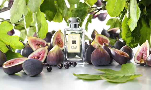 น้ำหอม WILD FIG & CASSIS กลิ่นฝนปนโรแมนติก! - โจ มาโลน - Wild Fig & Cassis - กลิ่นน้ำหอม - น้ำหอมกลิ่นโรแมนติก - แบรนด์น้ำหอม